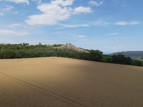DJI_3593.JPG